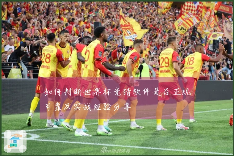 如何判断世界杯竞猜软件是否正规可靠及实战经验分享