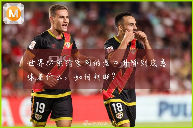 世界杯竞猜官网的盘口升降到底意味着什么，如何判断？