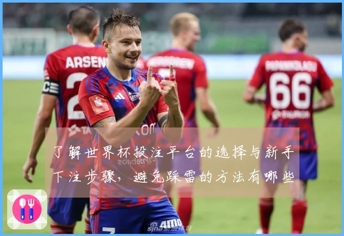 了解世界杯投注平台的选择与新手下注步骤，避免踩雷的方法有哪些？
