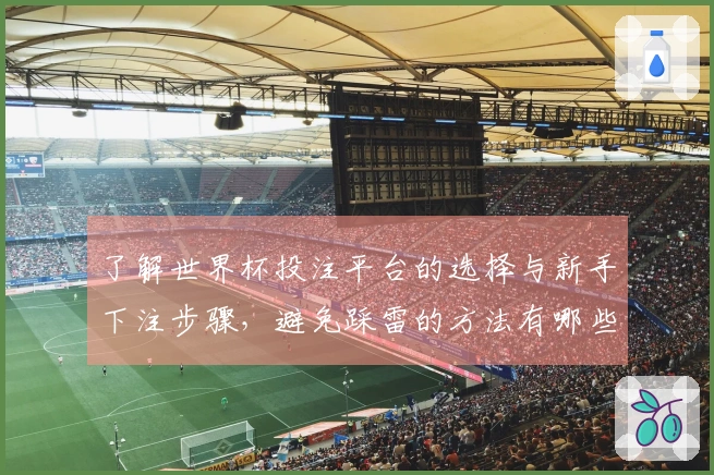 了解世界杯投注平台的选择与新手下注步骤，避免踩雷的方法有哪些？